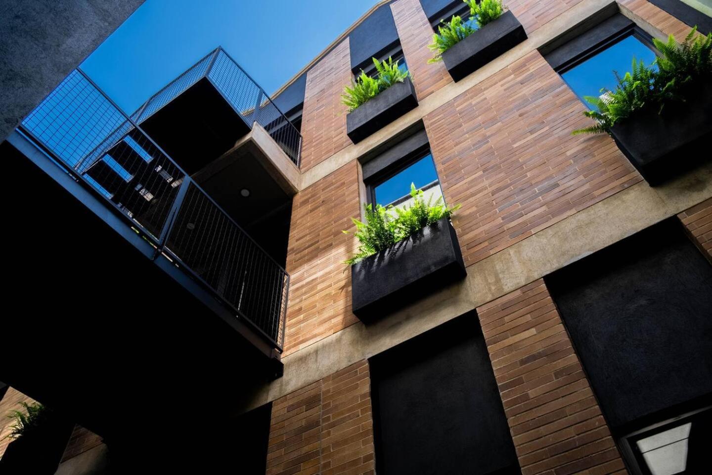 Aparthotel The Somos Flats Laureles Medellín Esterno foto